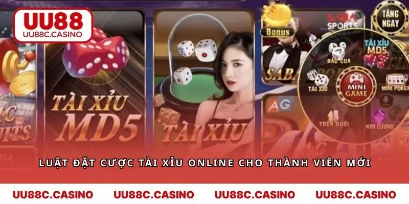 Luật đặt cược tài xỉu online dành cho các thành viên mới