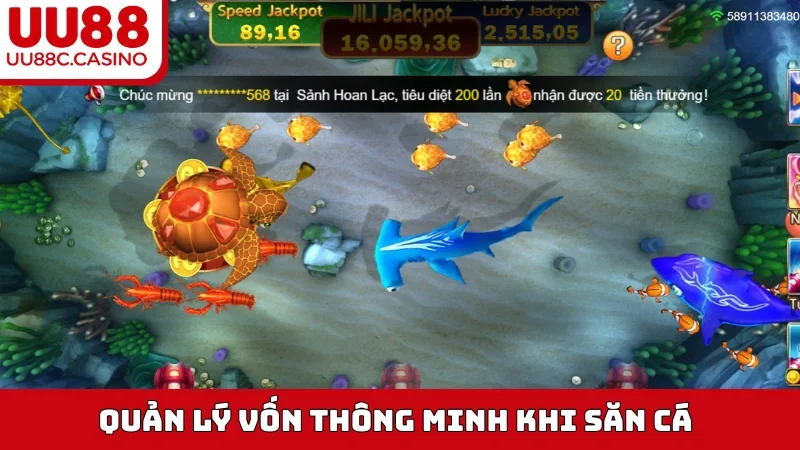 Quản lý vốn thông minh khi săn cá